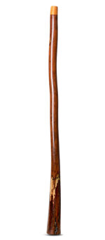 Wix Stix Didgeridoo (WS156)